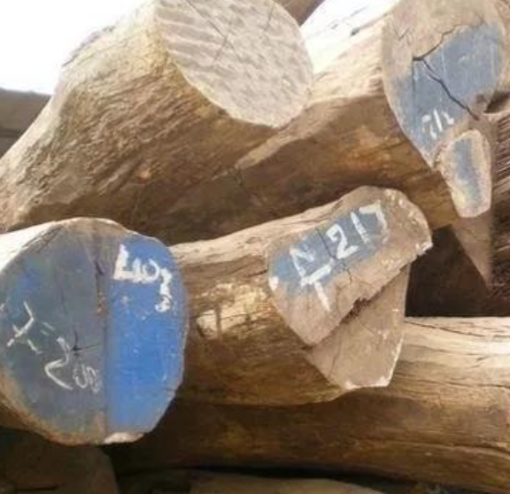 这些北美木材术语，你知多少？